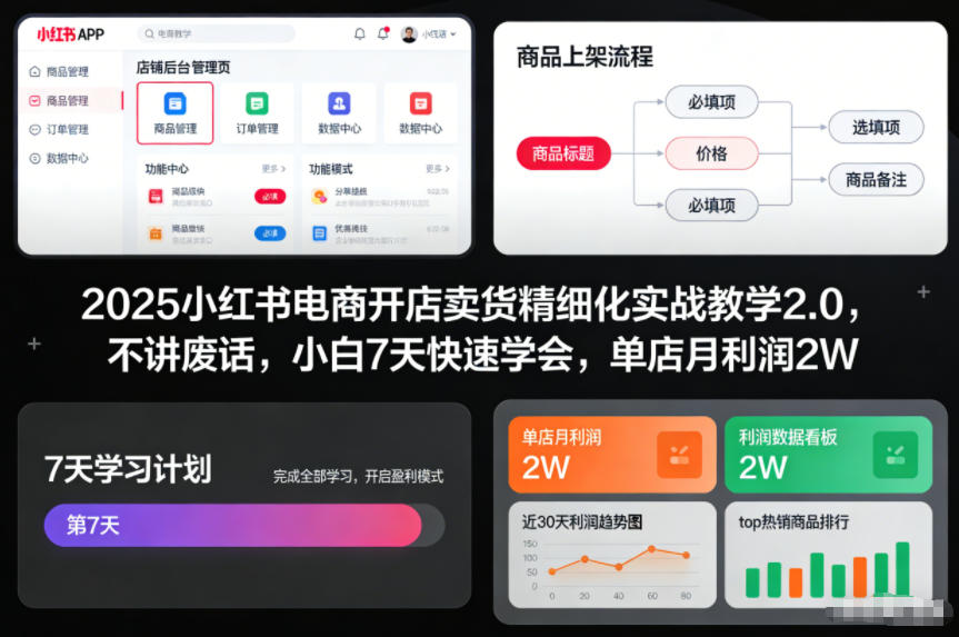 2025小红书电商开店卖货精细化实战教学2.0，不讲废话，小白7天快速学会，单店月利润2W-清远网